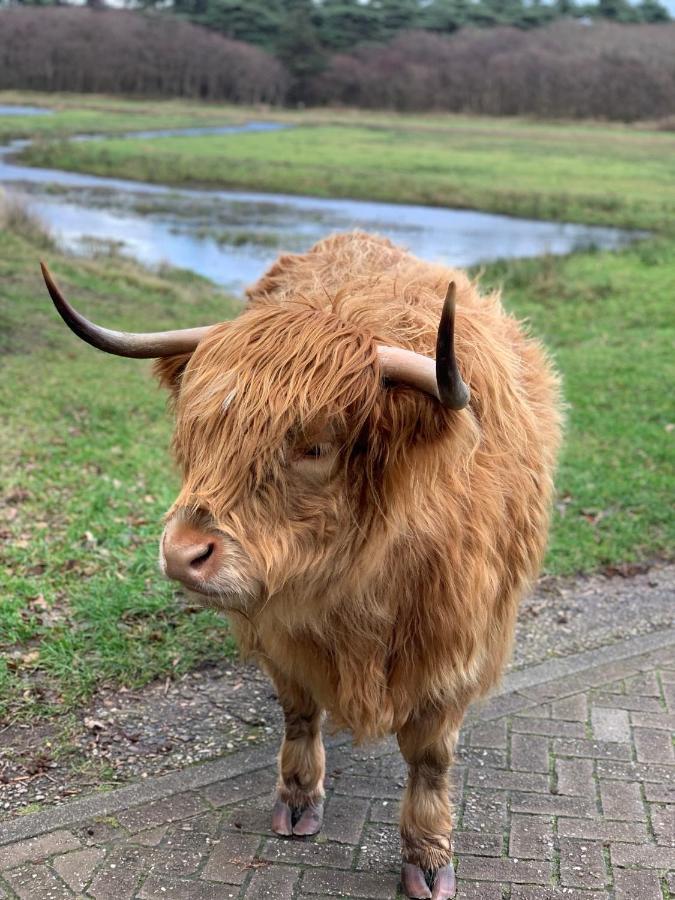 Tx 71 Lejlighed Den Burg Eksteriør billede